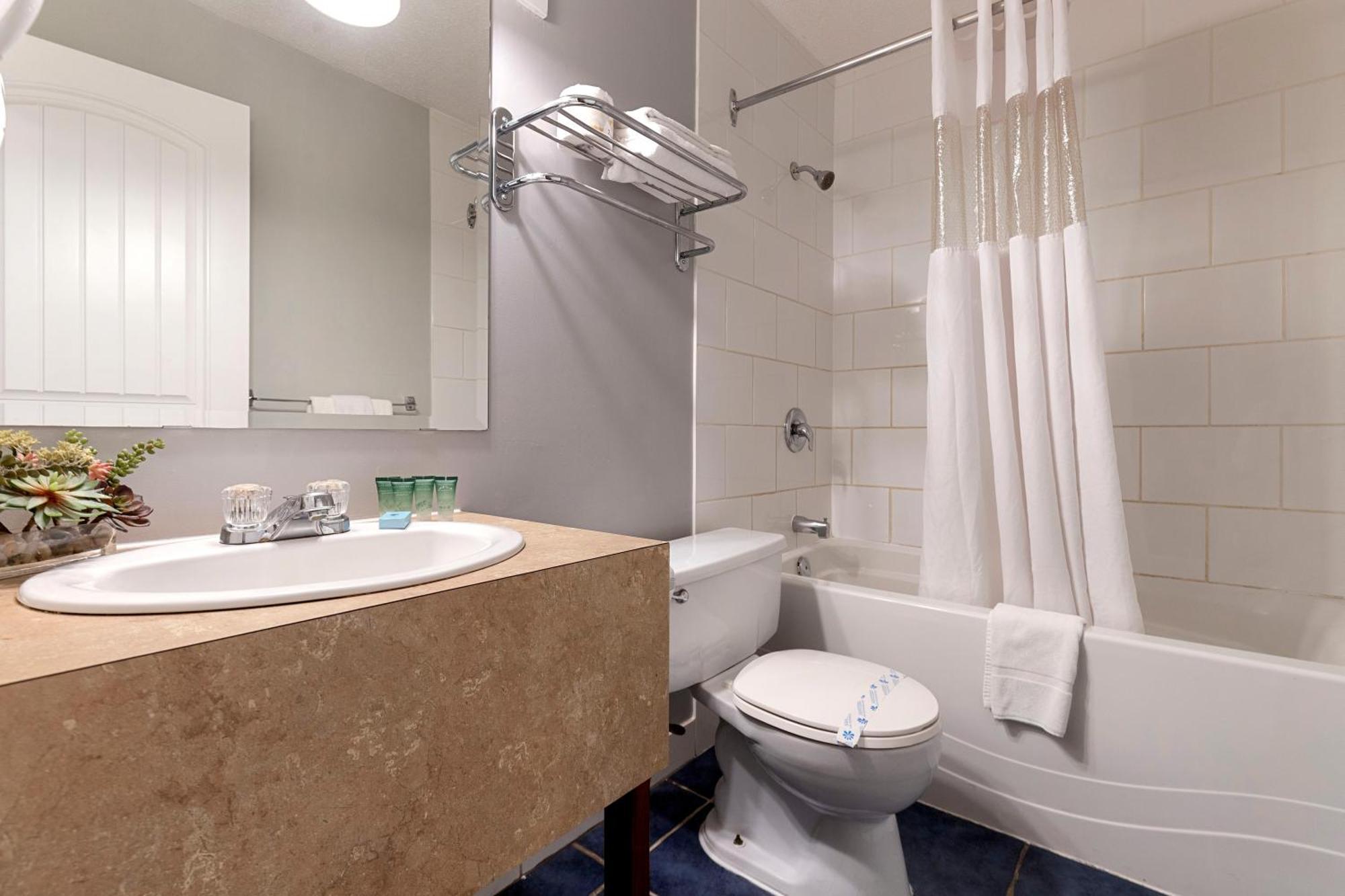 Oasis 3*